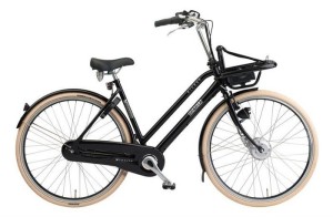 De elektrische transportfiets 