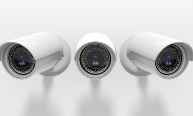Camera stal – houdt uw vee veilig
