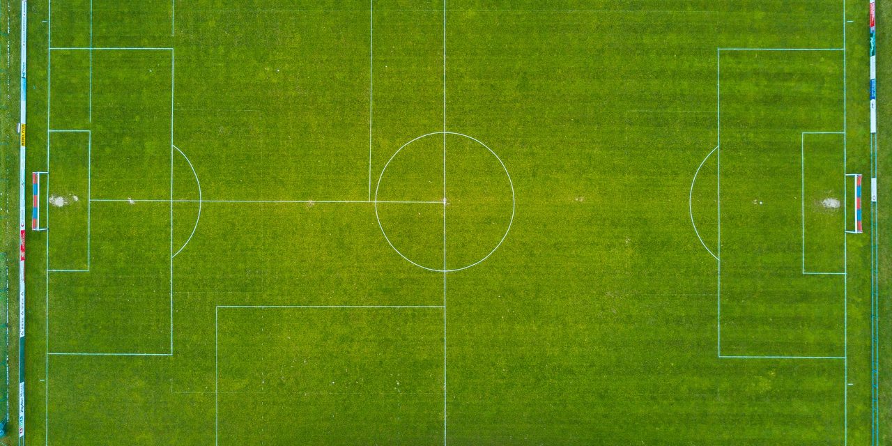 Hoe graszaad te planten: de ultieme gids