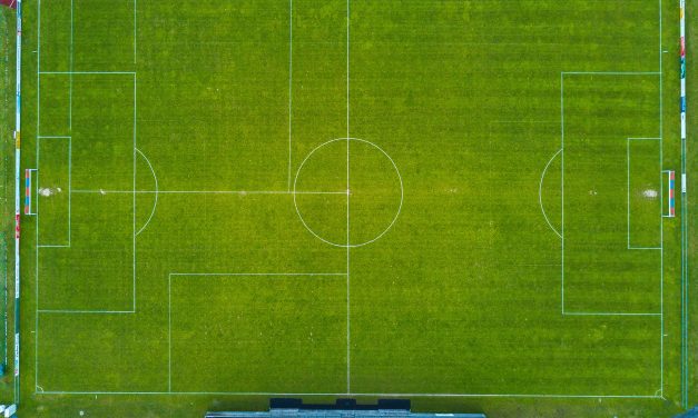 Hoe graszaad te planten: de ultieme gids