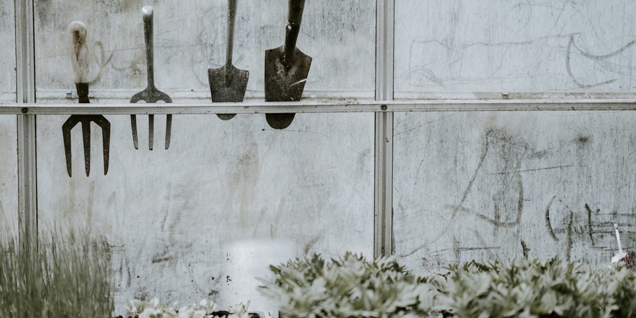 Bloemschikken 101: Knutselen met bloemen