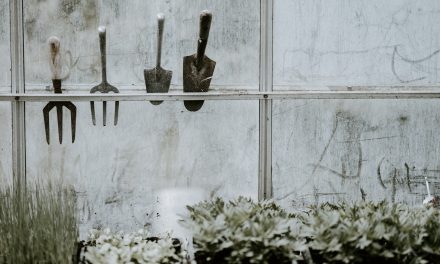 Bloemschikken 101: Knutselen met bloemen