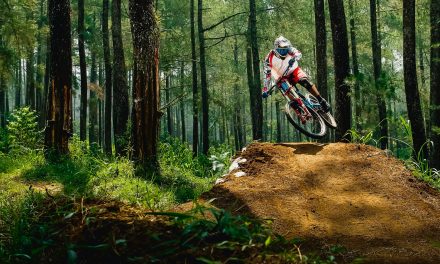 Mountainbike leasen